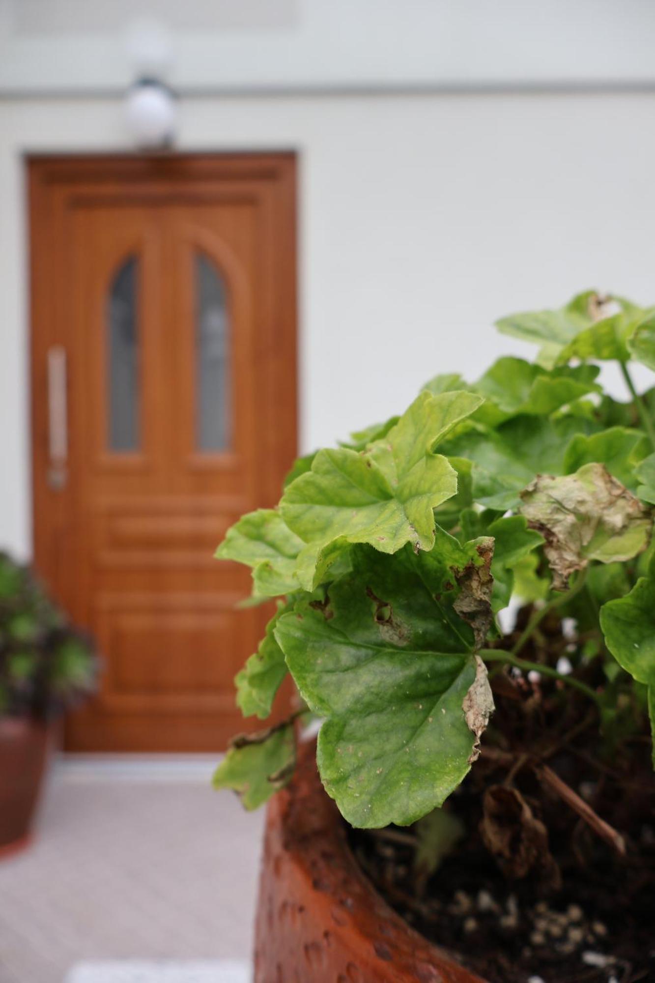 Casa Das Chaes Caniçada Esterno foto